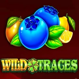 Wild Traces slot visual from Amusnet Interactive available on psk-casino.eu
